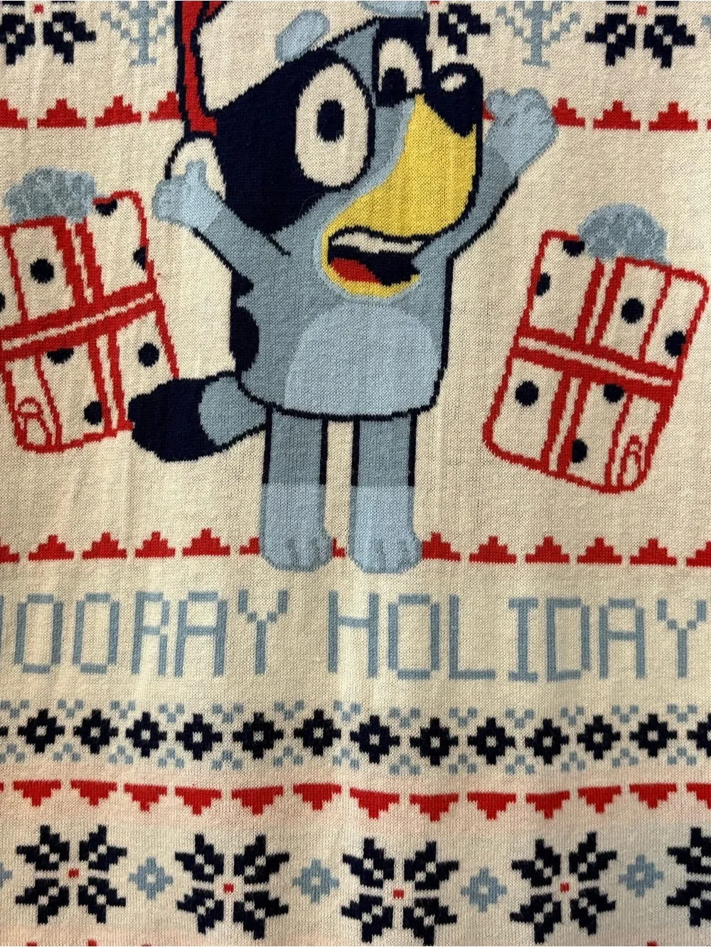 Bluey hooray holiday christmas holiday sweater kids size xl